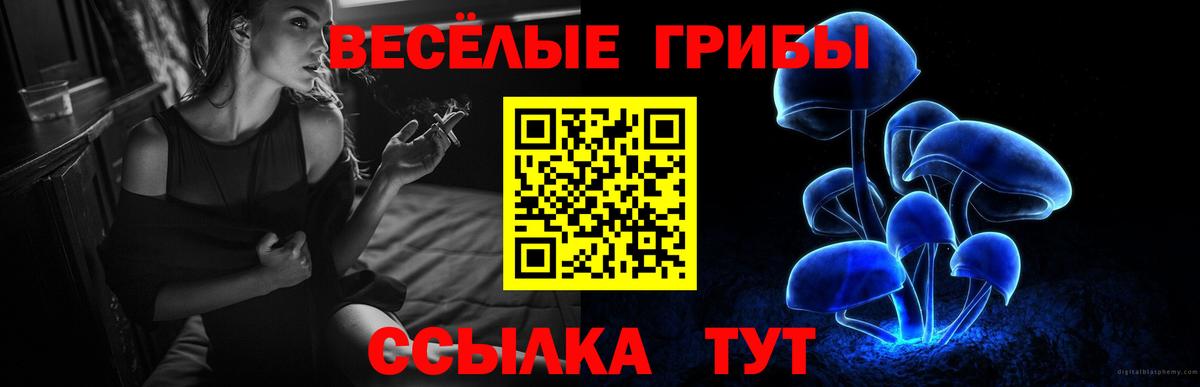 где можно купить наркотик  Псилоцибиновые грибы GOLDEN TEACHER  Вход с VPN  Псилоцибиновые грибы прущие грибы  Алейск 